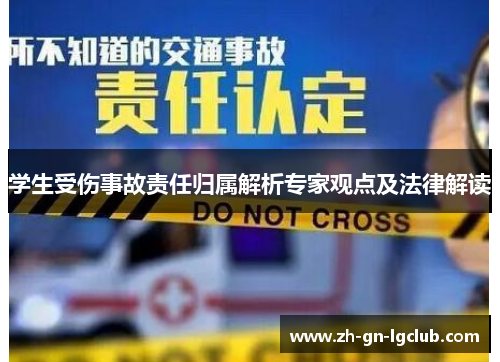 学生受伤事故责任归属解析专家观点及法律解读