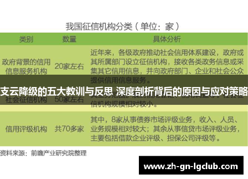 支云降级的五大教训与反思 深度剖析背后的原因与应对策略