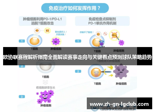 欧协联赛程解析指南全面解读赛事走向与关键看点预测球队策略趋势 欧协联赛程解析指南全面解读赛事走向与关键看点预测球队策略趋势